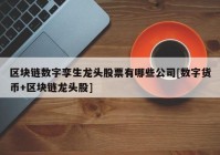 区块链数字孪生龙头股票有哪些公司[数字货币+区块链龙头股]